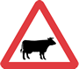 Cattle road sign pictogram based on a cow called Patience